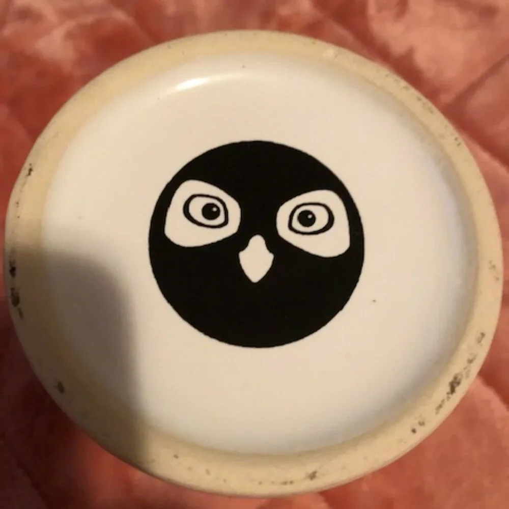 OwlCrate Ceramic Cup